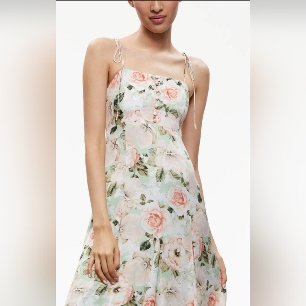 Alice + Olivia Morningside Floral Pistachio Spaghetti Strap Dress Size 6 NWT!